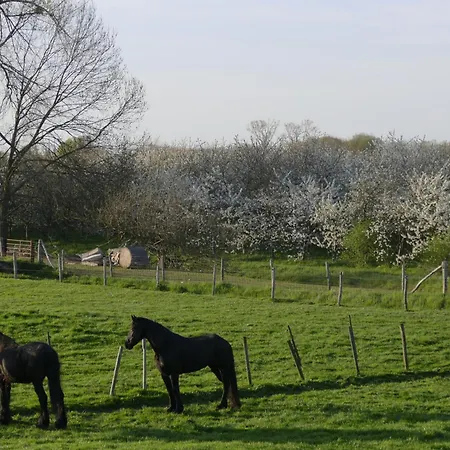 Meschermolen 5 Apartment Eijsden