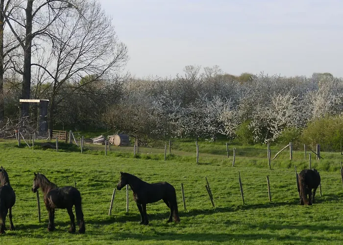 Meschermolen 5 公寓 爱斯登