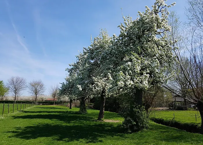 Meschermolen 5 * Eijsden