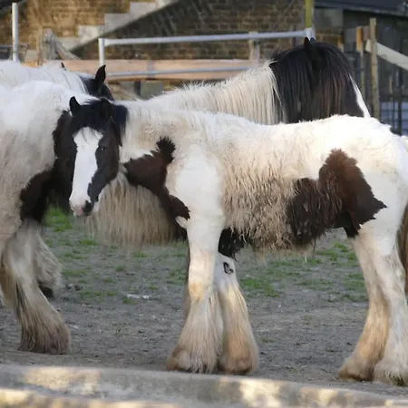 Meschermolen 5 Eijsden